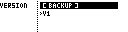 project versions